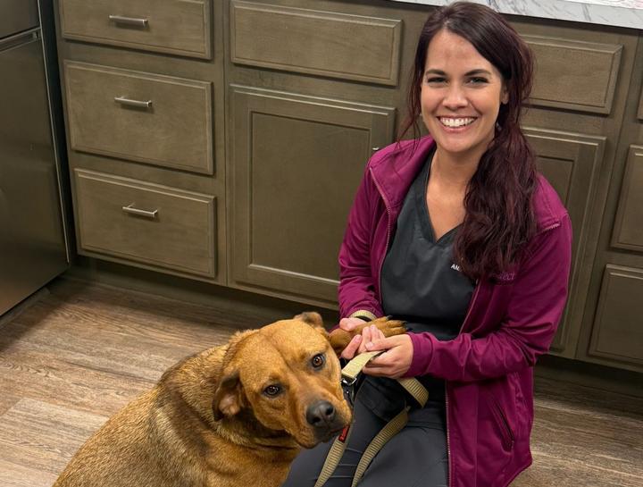 Preventive Care for Dogs