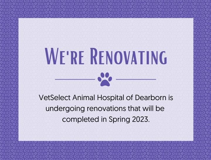 VetSelect Animal Hospital of Dearborn | Dearborn Veterinary Hospital